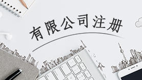 有限公司注册